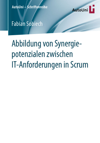 Abbildung von Synergiepotenzialen zwischen IT-Anforderungen in Scrum