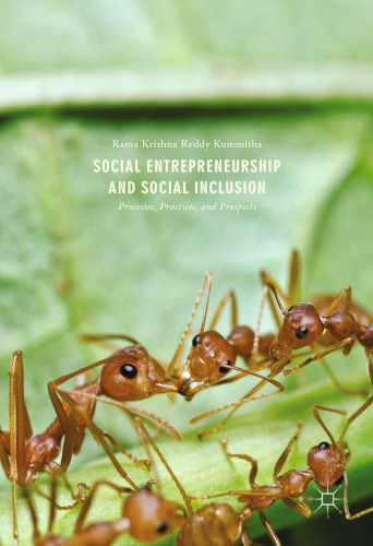 Social Entrepreneurship and Social Inclusion: Processes, Practices, and Prospects