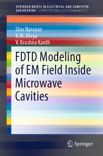 FDTD Modeling of EM Field inside Microwave Cavities