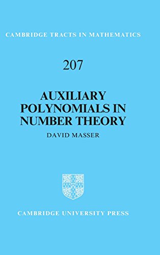Auxiliary polynomials in number theory