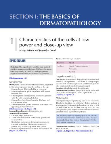 A notebook of dermatopathology: mastering the basics, pattern recognition, and key pathologic findings