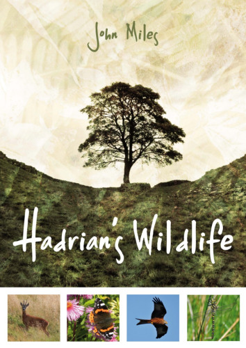 Hadrian’s wildlife