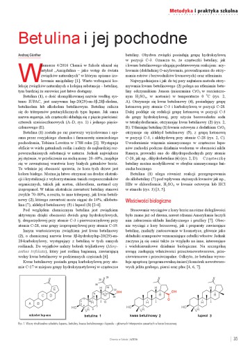 Betulina i jej pochodne
