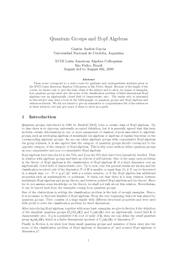 Quantum Groups and Hopf Algebras