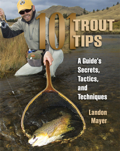 101 trout tips : a guide’s secrets, tactics, and techniques