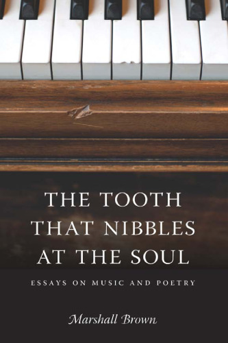 The Tooth That Nibbles at the Soul: Essays on Music and Poetry