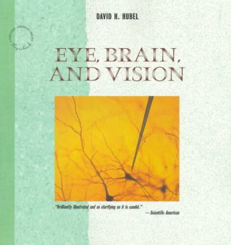 Eye, Brain, and Vision