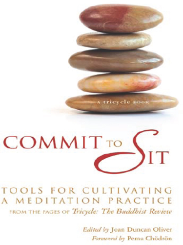 Commit to Sit: Tools for Cultivating a Meditation Practice from the Pages of Tricycle
