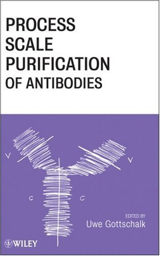 Process scale purification of antibodies