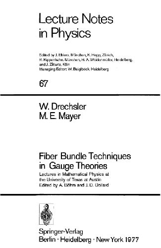 Fiber bundle techniques in gauge theories