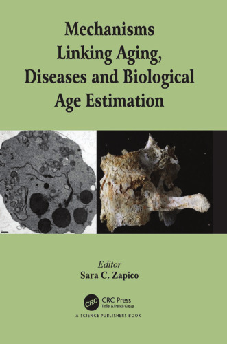 Mechanisms linking aging, diseases, and biological age estimation