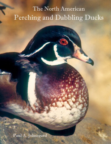The North American Perching and Dabbling Ducks: Their Biology and Behavior