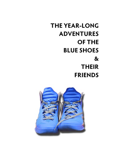 The Year-Long Adventures of the Blue Shoes & Their Friends: A Pedagogical Experiment in Visual Blogging and Tutoring University Athletes at the University of Nebraska-Lincoln