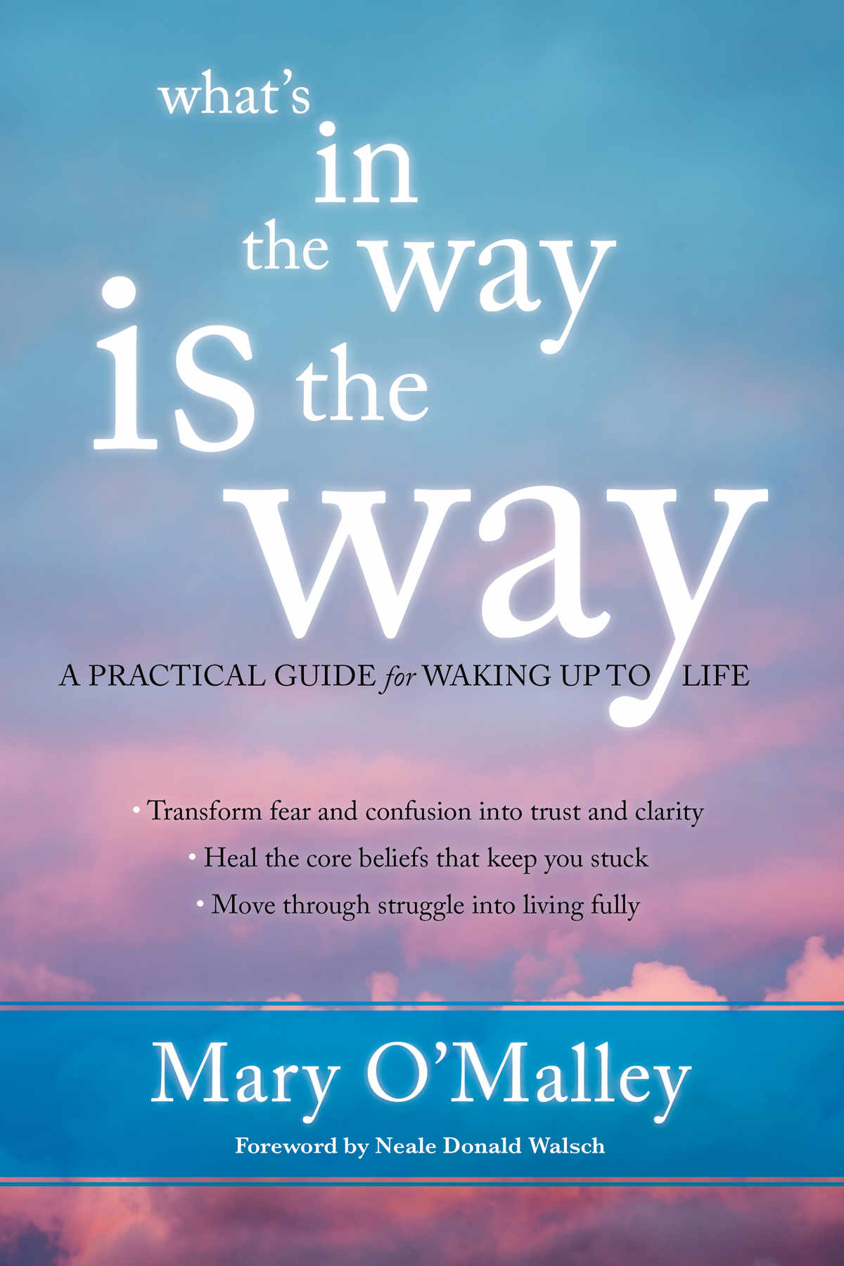 What’s in the Way Is the Way: A Practical Guide for Waking Up to Life