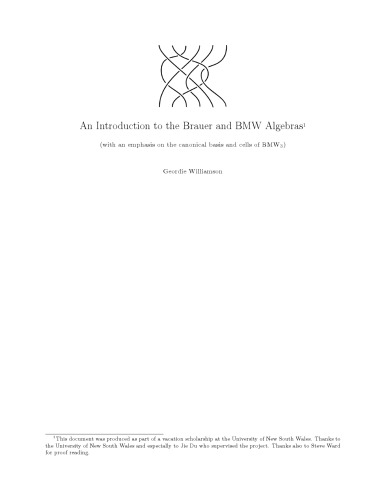 An Introduction to the Brauer and BMW Algebras [expository notes]