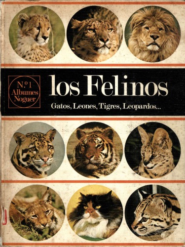 Los Felinos