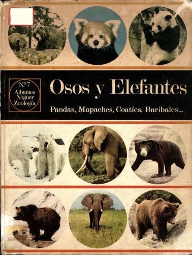 Osos y elefantes