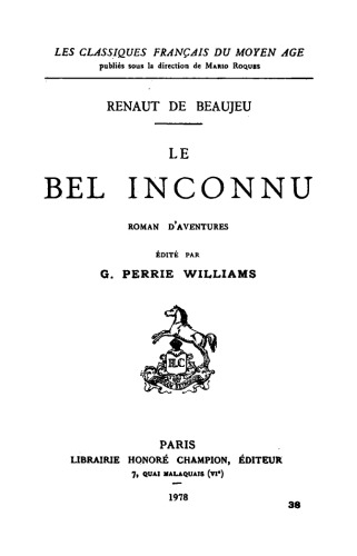 Le bel inconnu, roman d’aventures