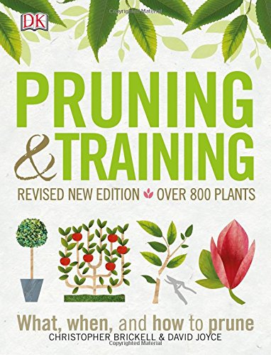 Pruning and Training: What, When, and How to Prune