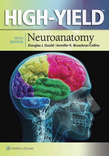 High Yield Neuroanatomy