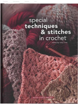 Special Techniques & Stitches in Crochet
