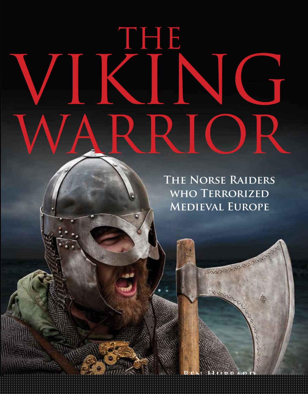 The Viking Warrior: The Norse Raiders who terrorised Medieval Europe