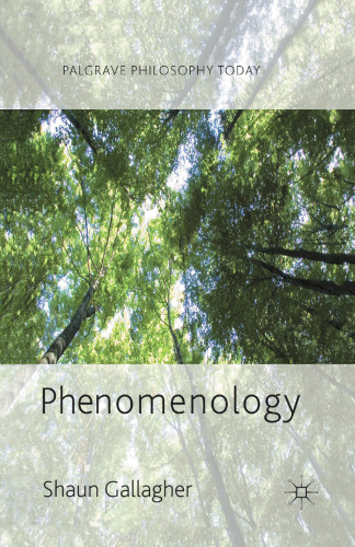 Phenomenology