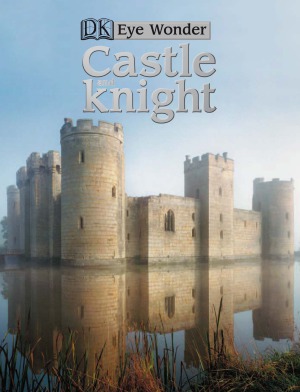 Castle and Knight
