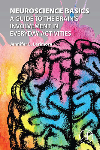 Neuroscience Basics A Guide to the Brain's Involvement in Everyday Activities