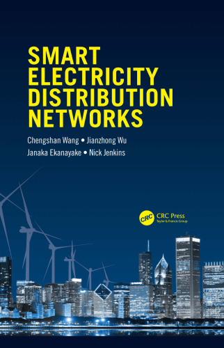 Smart electricity distribution networks