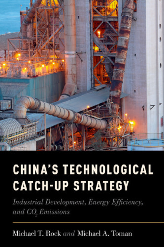 China's technological catch-up strategy : industrial development, energy efficiency, and CO2 emissions
