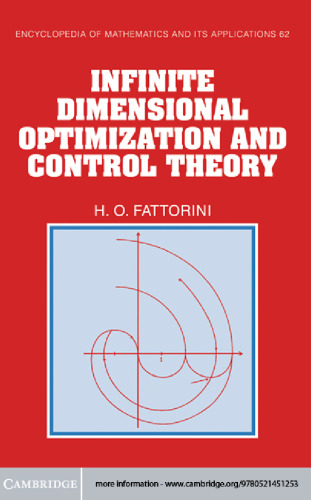 Infinite Dimensional Optimization and Control Theory