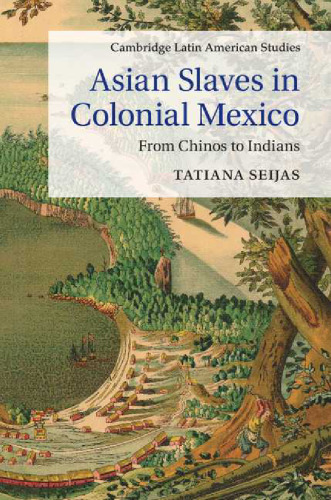 Asian Slaves in Colonial Mexico: From Chinos to Indians