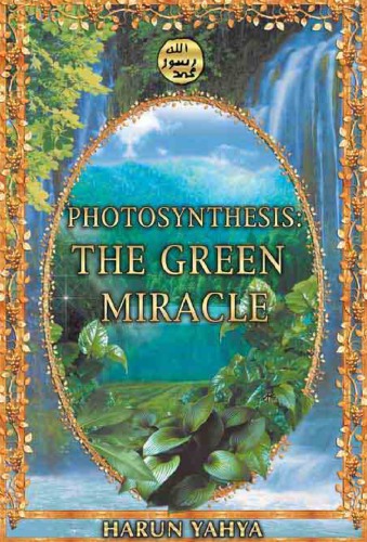 Photosynthesis : the green miracle