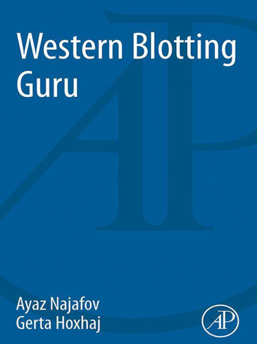 Western blotting guru