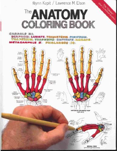 Anatomy Coloring Book