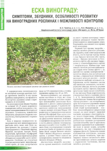 Еска винограду: симптоми, збудники, особливості розвитку на виноградних рослинах і можливості контролю