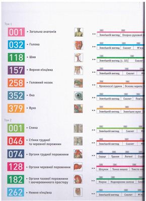 Sobotta. Атлас анатомии человека. Т 2