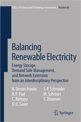 Balancing Renewable Electricity: Energy Storage, Demand Side Management, and Network Extension from an Interdisciplinary Perspective