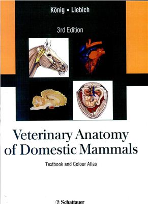 Veterinary Anatomy of Domestic Mammals
