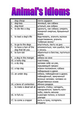 Идиомы. Animals idioms