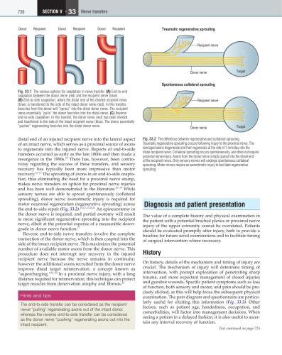 Plastic Surgery. Volume 6 Hand. Part 3