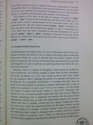 Modern Irish: Grammatical Structure and Dialectal Variation