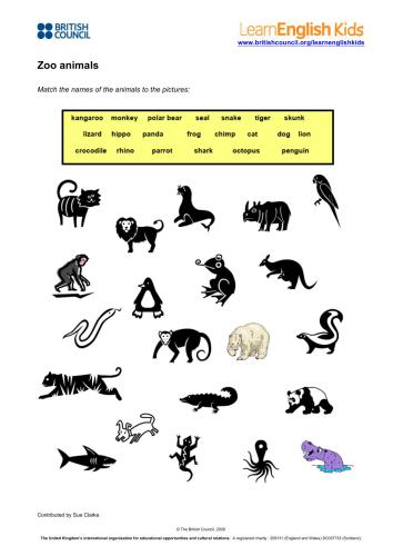 Zoo Animals Activity