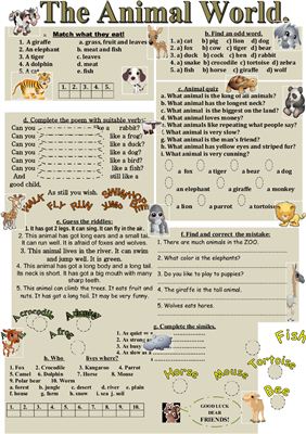 Animal world - worksheet