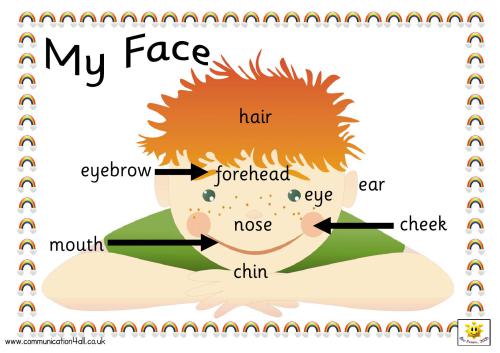 Словарь - картинка - My face