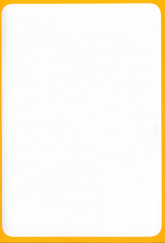 Fly High 2 Vocabulary Flashcards