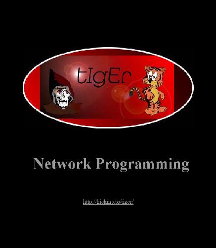 Network Programming with Perl