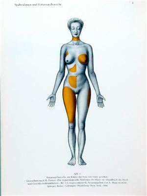 Topographische Anatomie des Menschen. Lehrbuch und Atlas der regionär-stratigraphischen Präparation