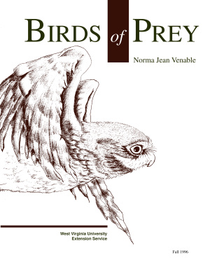 Birds of Prey